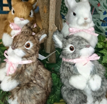 うさぎサン入荷しました~♪