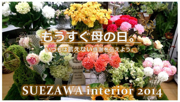お花インテリア始めよう! お花コーナーリニューアル~♪